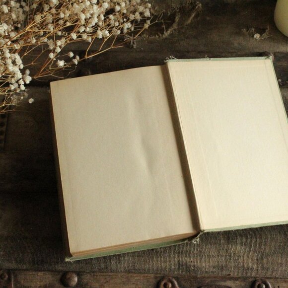 Vintage Antique 1910s Book, "Mother Carey's Chickens", by Kate Douglas Wiggin, - Picture 16 of 16